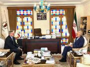 سفیر آلمان با رئیس بنیاد ایران‌شناسی دیدار و گفت‌وگو کرد
