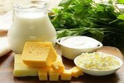 چه زمانی باید پروبیوتیک مصرف کنیم؟