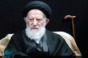 بازخوانی حیات علمی و کارنامه انقلابی مرحوم آیت‌الله‌العظمی شبیری زنجانی