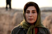 فاطمه معتمدآریا به ایران بازگشت
