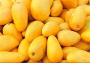 مصرف انبه احساس سیری می‌دهد؟