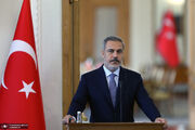 فیدان