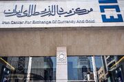 مرکز مبادله ایران فقط یک نرخ ارز دارد