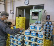 سازمان غذا و دارو بر محصولات ۱۵ هزار واحد تولیدی نظارت دارد