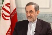 ولایتی: کودکان خط قرمز مشترک بشریت هستند