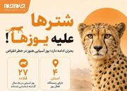 عکس نوشت | «جام‌جم» در گفت‌و‌گو با مدیرکل حفاظت محیط‌زیست سمنان آخرین وضعیت یوزپلنگ آسیایی را بررسی کرده است