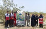 کاشت نهال در سواحل کنارک