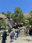 چرخش راهبردی هگتا در گردشگری گروهی؛ رکورد جابه‌جایی ۱۳۵۰ مسافر در سه هفته