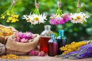 همدان میزبان نخستین جشنواره گیاهان دارویی حکیم هزاره‌ها