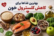 بهترین غذاها برای کاهش کلسترول خون کدامند؟ l معرفی بهترین مواد غذایی برای کاهش کلسترول خون