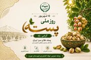 پیش‌بینی برداشت ۱۰ هزار و چهارصد تن پسته از باغات شهرستان مهریز