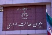 مشاور و دستیار جوان با رأی دیوان، قانونمند شود؛ نه تعطیل