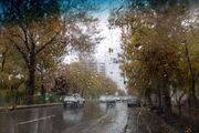 رگبار باران و کاهش دما در نوار شمالی کشور؛ هشدار هواشناسی برای ۸ استان