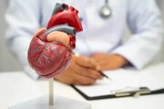 خطرسنجی رایگان در مراکز بهداشت البرز