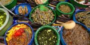 بهترین غذا‌های محلی گیلان؛ از باقلا قاتق و میرزاقاسمی تا غذا‌های اصیل گیلکی
طرز تهیه یک دسر خوشمزه که کودکان عاشقش هستند
طرز تهیه خورشت خلال کرمانشاهی مجلسی و خوشمزه
معرفی ۵ غذای محلی که اسم آن‌ها را کمتر شنیده‌اید