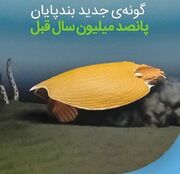 کشف بقایای ۵۰۰‌میلیون ساله گونه جدیدی از بندپایان