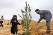 سمنان پیشرو در طرح درختکاری با تولید ۵ میلیون نهال