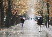 باران بارید پس بخوان دعای فرج را، دعا اثر دارد