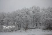 برف و باران و باد در ۲۸ استان/ احتمال آبگرفتگی معابر
