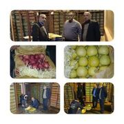 نظارت بر روند ذخیره سازی سیب درختی خریداری برای تنظیم بازار ایام پایانی سال درگلستان