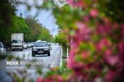 بارش باران در برخی استانها