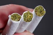 ناکامی قاچاقچیان در انتقال ۳۱ کیلوگرم حشیش