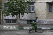 وزش باد شدید و گردوخاک در تهران