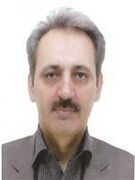 در سوگ علمدار حکیم انقلاب