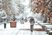 هواشناسی خبر داد؛ تداوم بارش برف تا دوشنبه در این استان‌ها