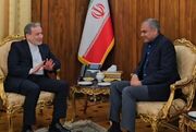 منبع پاکستانی: نقوی حامل پیامی از اسلام‌آباد برای رهبر ایران است