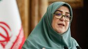 مهاجرانی: دولت به دنبال کاهش فشار ناترازی انرژی بر واحدهای تولیدی است