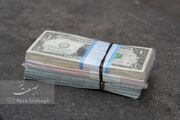 امروز در بازار ارز مبادله‌ای؛ دلار ۱۴۵ هزار تومان شد+نرخ یورو