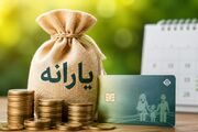 هشدار یک اقتصاددان؛ یارانه و کالابرگ بی‌ارزش شده‌اند