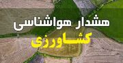 کشاورزان و گلخانه داران هشدار وزش باد را جدی بگیرند