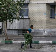 وزش باد شدید در تهران/پیش‌بینی کاهش کیفیت هوا
