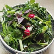 سبزی خوردن بسته‌بندی باید مطابق ضوابط سازمان غذا و دارو تولید شود