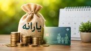 اختصاص ۳۷ درصد بودجه به هدفمندی یارانه‌ها /یارانه نقدی به بیش از ۷۵ میلیون نفر پرداخت شد