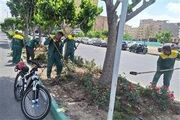 عملیات نگهداشت و توسعه فضای سبز در منطقه ۵ کرج اجرا شد