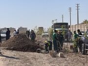 بیش از ۸۵۰ اصله درخت در مسیر حلقه دره کاشته شد