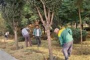 تحول سبز در منطقه ۵ کرج با کاشت گل و بهسازی پارک ها