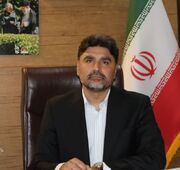 آمادگی خرید تضمینی بیش از ۸۰۰ هزار تن گندم مازاد بر نیاز کشاورزان کرمانشاهی