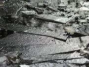 انفجارهای مرموز در دل شب؛ «یخ‌لرزه» چیست؟