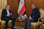 منبع پاکستانی: نقوی حامل پیامی از اسلام‌آباد برای رهبر ایران است