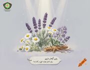 بهترین گیاه برای خواب عمیق چیست؟ معرفی مؤثرترین گیاه دارویی برای داشتن خوابی آرام