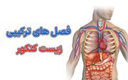 فصل های ترکیبی زیست دهم، یازدهم و دوازدهم - مردم سالاری آنلاين