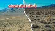 فیلم/ رقص آهوهای گلستان در آغوش دشت