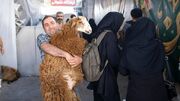 قیمت دام زنده اعلام شد