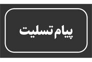 پیام تسلیت وزیر تعاون،کار و رفاه اجتماعی به دکتر حناچی | وزارت تعاون، کار و رفاه اجتماعی