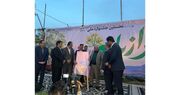 ساماندهی تولید و توسعه بازار رازیانه رزن با محوریت تعاونی تأمین نیاز دنبال می‌شود | وزارت تعاون، کار و رفاه اجتماعی