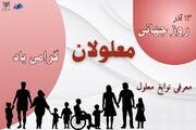 وقتی بال‌هایی برای پرواز دارم، چه نیازی به پا هست؟ / معرفی نوابغ معلول